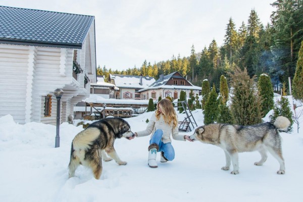 Отель Ведмежий Двир