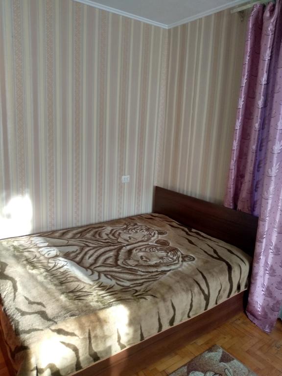 Apartment on Hotkevycha 83