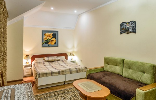Готель типу «ліжко та сніданок» Апартаменти Mieszkania Apartments Svitlana