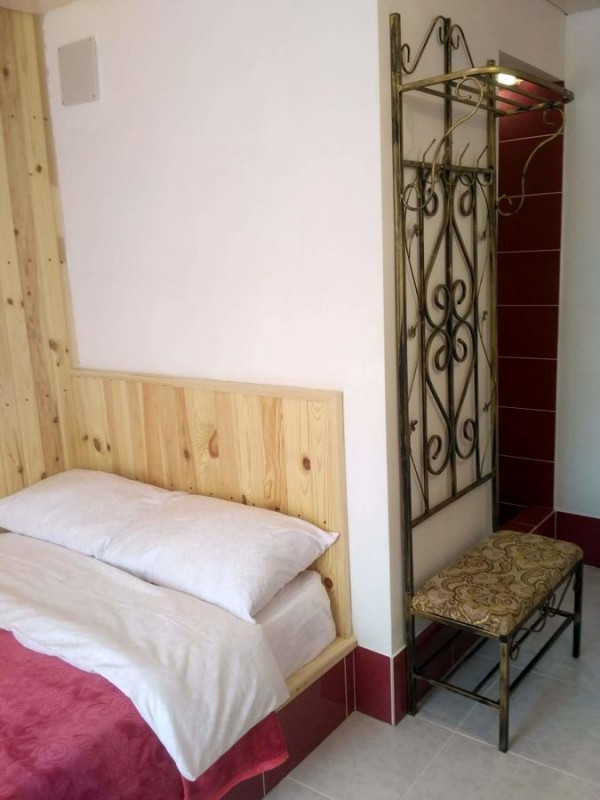 Отель Mini-hotel Kamianets