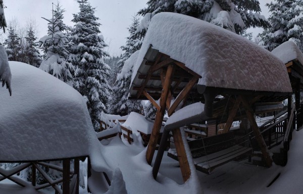 Лодж Шаленарозі