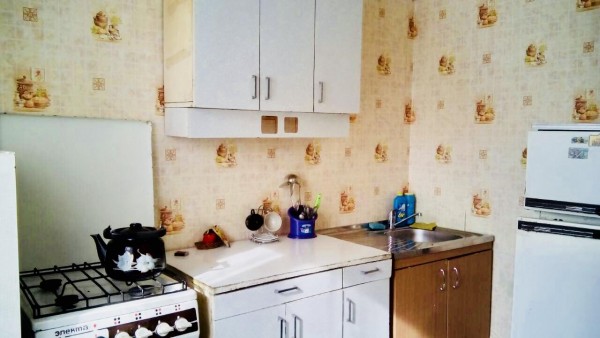 Apartment Kharkivska 24