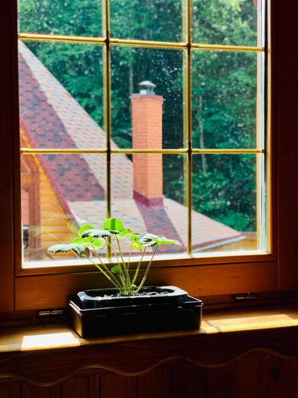 Міні-готель Yankovsky Dvir