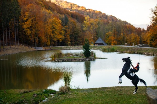 Курортний готель Voevodyno Resort