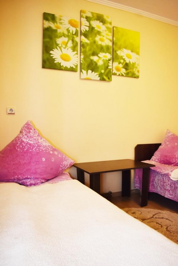 Guest House Hostel in the Carpathians