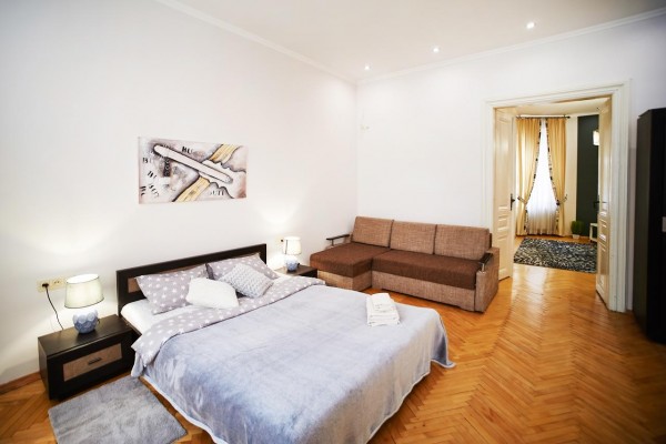 Spacious apartments in the center of Lviv