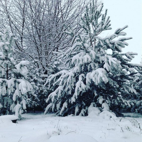 Гостевой дом Galitskaya Riviera