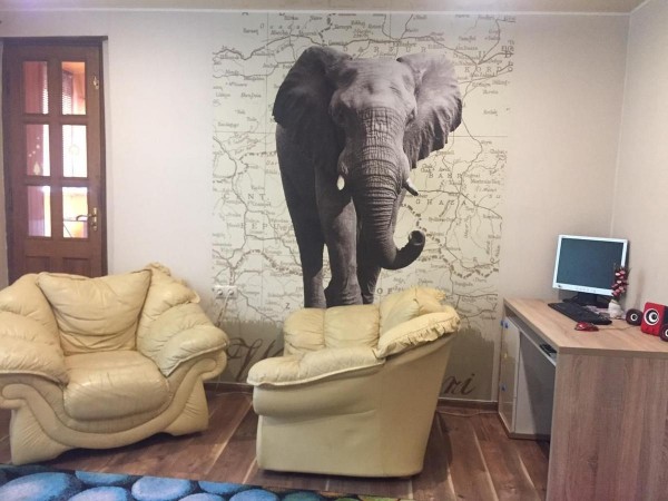 Сафарі Одеса