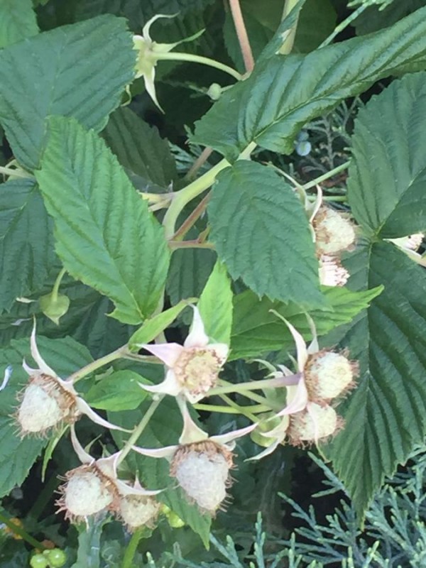 Guest House Guest House on Vjetrova