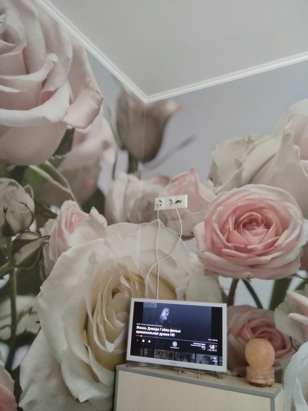 Люкс-шатер Квартира