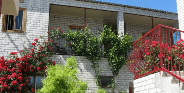 База отдых "Кобзарь"