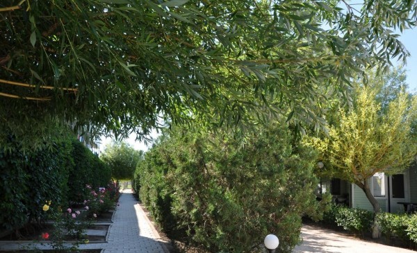 База відпочинку Олена Федотова коса