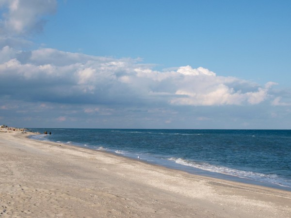 Recreation Center Troy Fedotova Spit